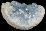 Blue Celestine (Celestite) Crystal Cluster - Madagascar #74703-1